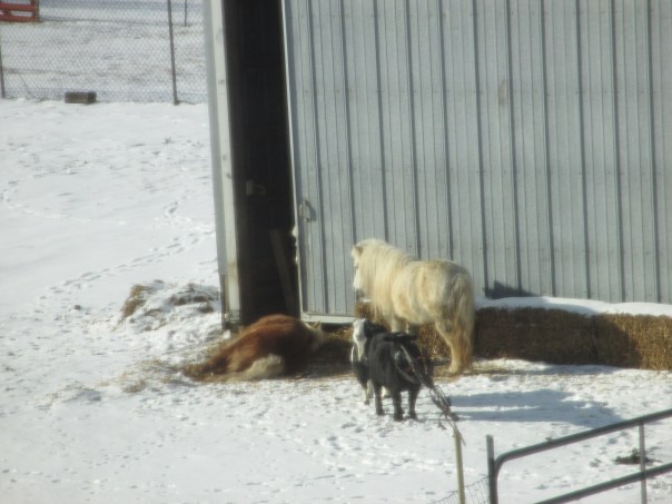 Doesn't she look dead laying there in the doorway??