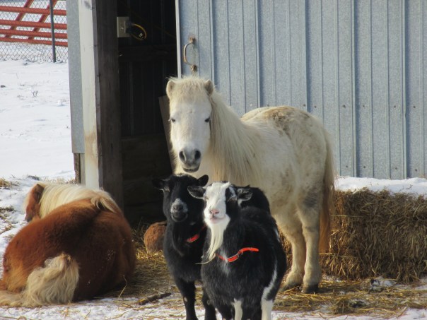 Oh look, breakfast is coming early today!